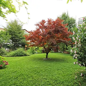 Apartmán Nigler 